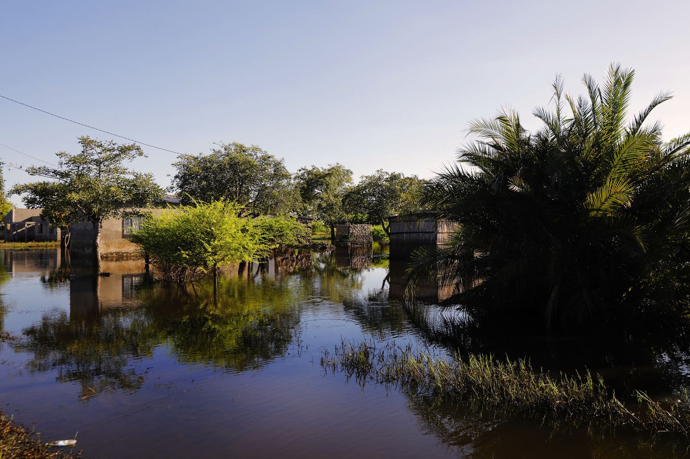 Houses and palm trees partly submerged in still floodwaters near Chókwè Rural Hospital, where supplies and services were disrupted, Mozambique.